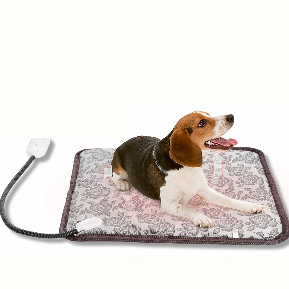 Beagle lying on a floral-patterned heating pad with a white control connected by a cord.