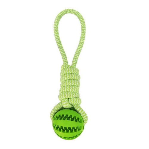 Green dog toy with a textured ball and looped rope handle design.