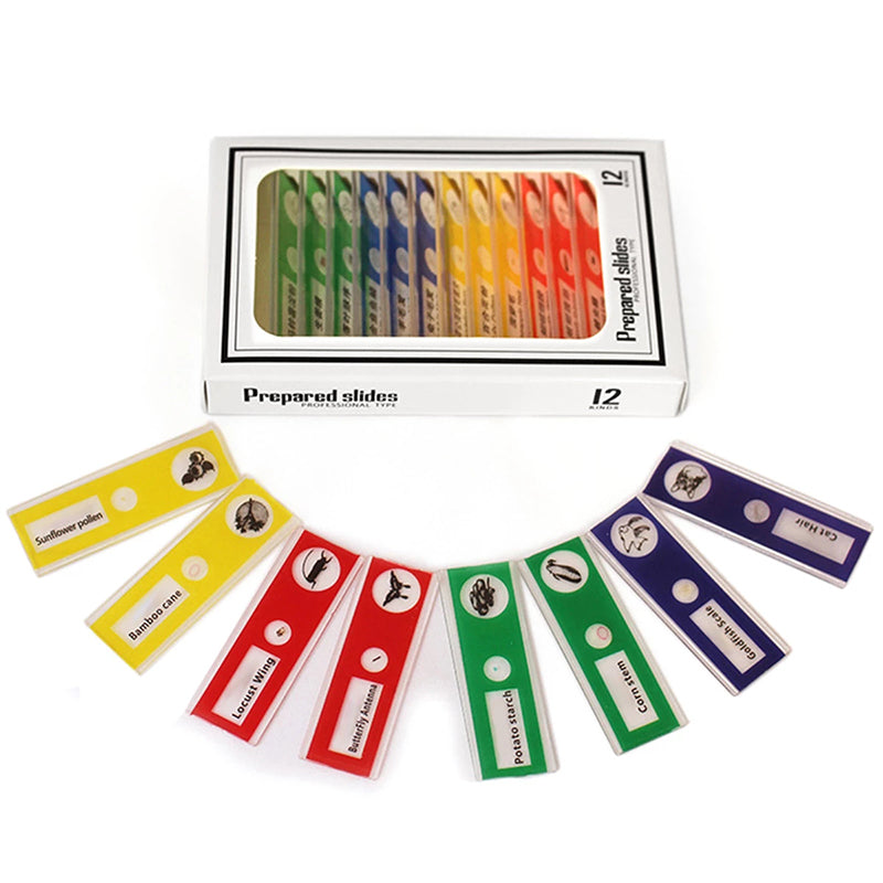 Box of 12 colorful prepared microscope slides in rainbow order, each labeled with a specimen.