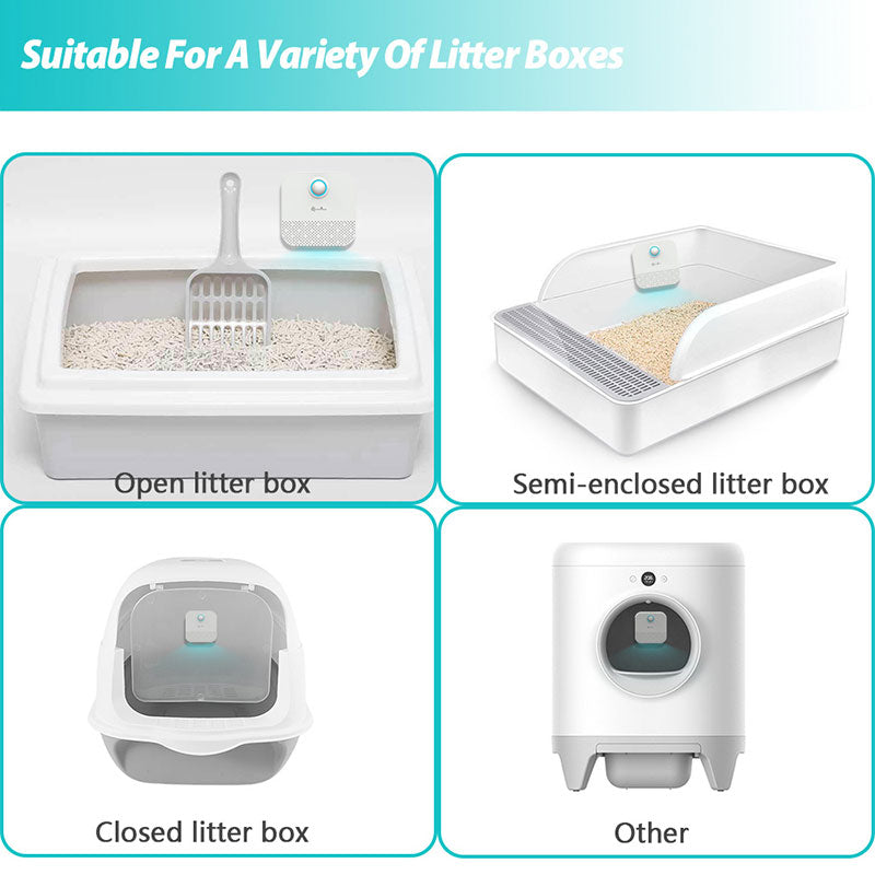 Four types of litter boxes: open, semi-enclosed, closed, and a tall automated type.