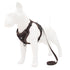 Reflective Adventure Dog Harness-0