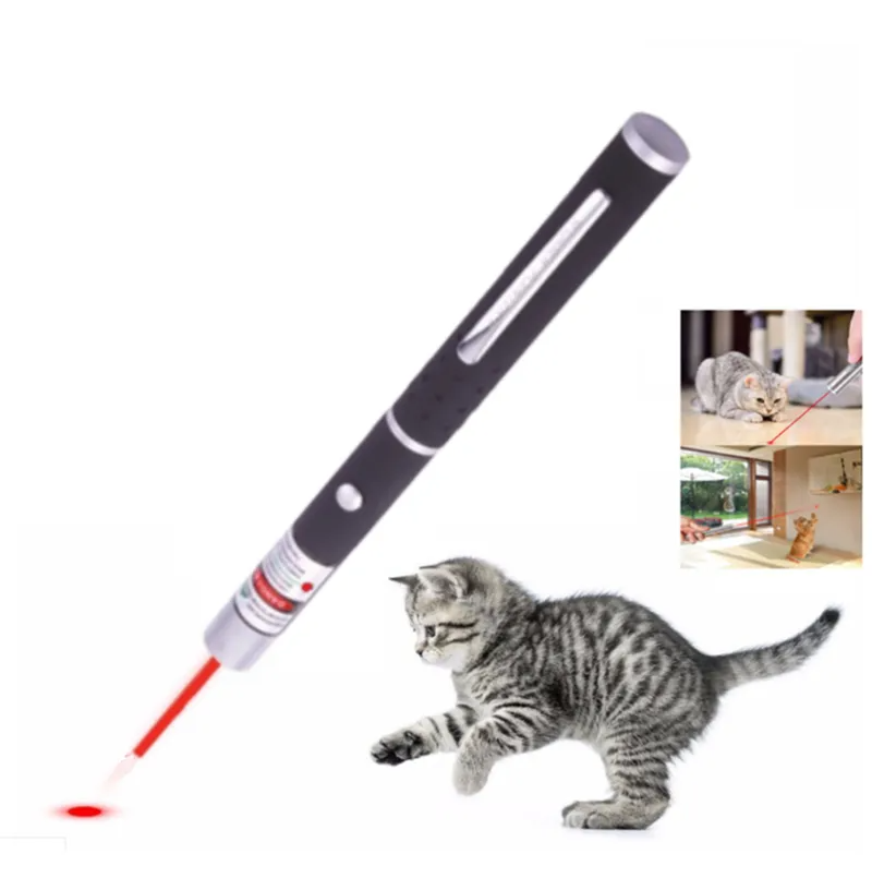A black laser pointer projects a red dot, with a gray kitten playfully chasing it.