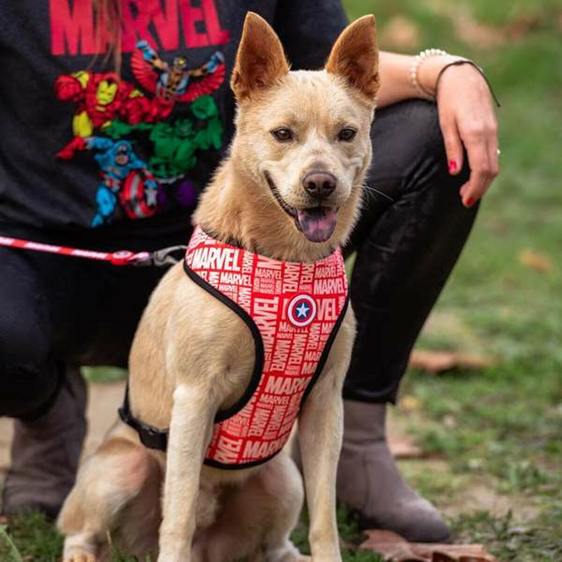 Dog Harness Marvel Red-1