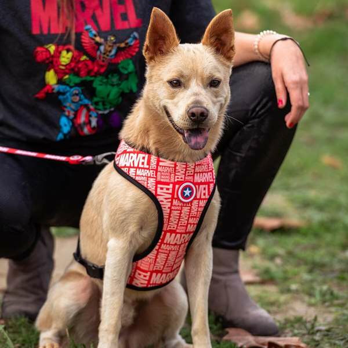 Dog Harness Marvel Red-1