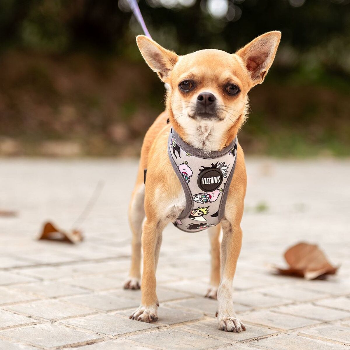 Dog Harness Disney-2