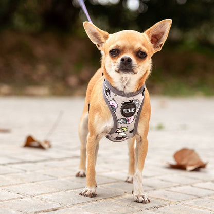 Dog Harness Disney-2