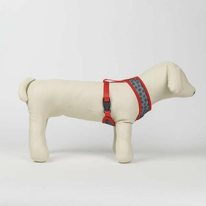 Dog Harness Minnie Mouse-10