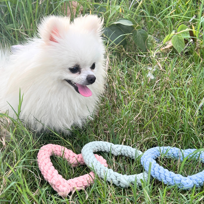 Sweetheart Macarons &amp; Bear Hugs Collection Dog Toys-2