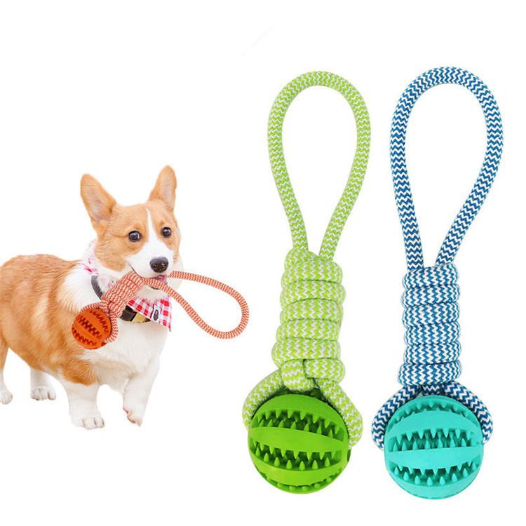 Corgi holding orange rope toy; green and blue rope toys with spiky balls beside it.