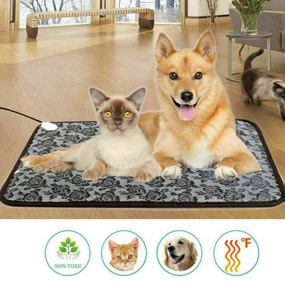 Cat and dog on a gray floral mat in a bright living room; icons show non-toxic, cat, dog, heating.