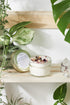 Jar candle with rose petals on a wooden shelf, surrounded by green plants and crystals.