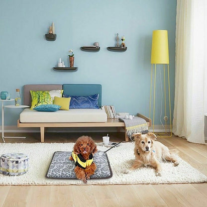 Two dogs on a fluffy rug in a cozy room with blue walls, colorful cushions, and a yellow lamp.
