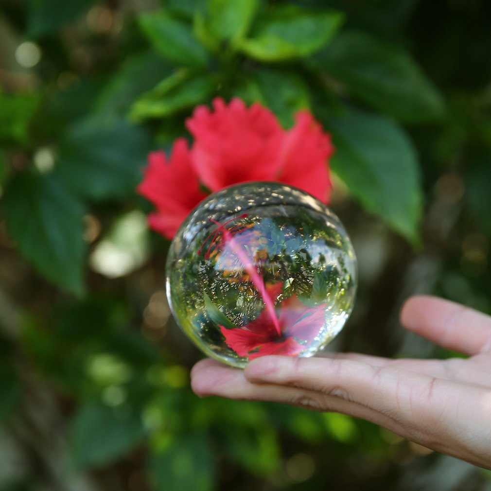Hand holding a clear sphere reflecting a red flower and green leaves in the background.