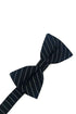 Newton Stripe Kids Bow Tie-0