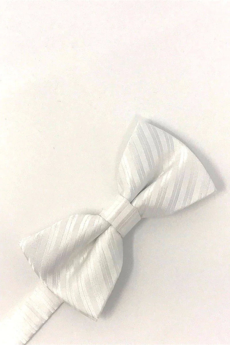 Newton Stripe Kids Bow Tie-5