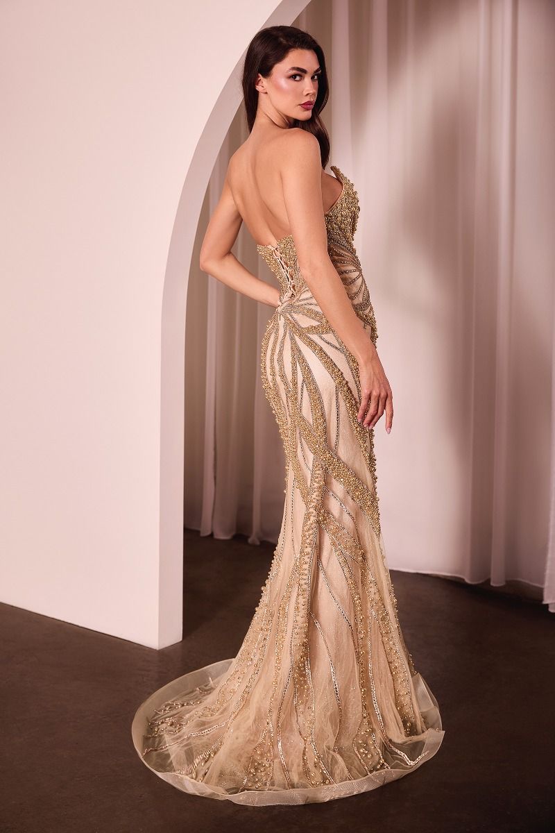 Pearl &amp; Crystal Strapless Fitted Dress-3