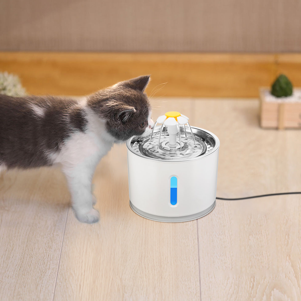 Kitten drinking from a white pet water fountain with a flower spout on a wooden floor.