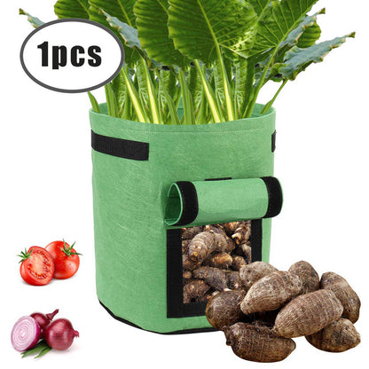 Green planter bag with leafy plants, transparent flap showing brown root vegetables, tomatoes, and onions.