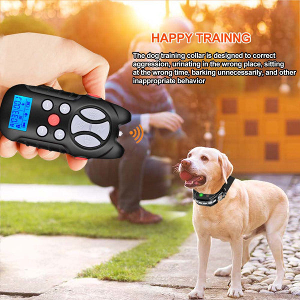 Hand holding a black remote with a light-up screen, controlling a dog in a garden with a collar.