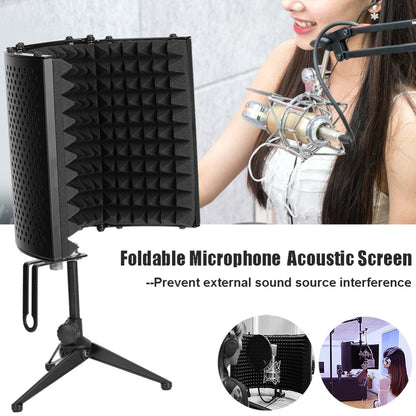 Black foldable acoustic screen with a microphone stand, in front of a woman speaking.