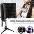 Black foldable acoustic screen with a microphone stand, in front of a woman speaking.