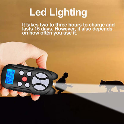 Hand holding a black remote with a blue LED screen shining light on silhouettes at sunset.