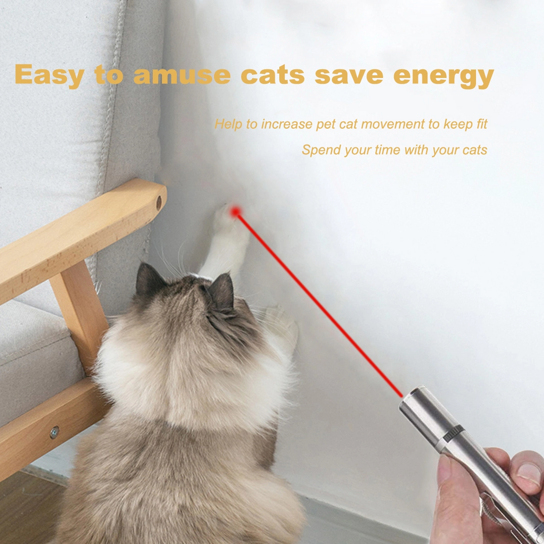 Cat playing with a red laser pointer light near a chair on a white wall background.