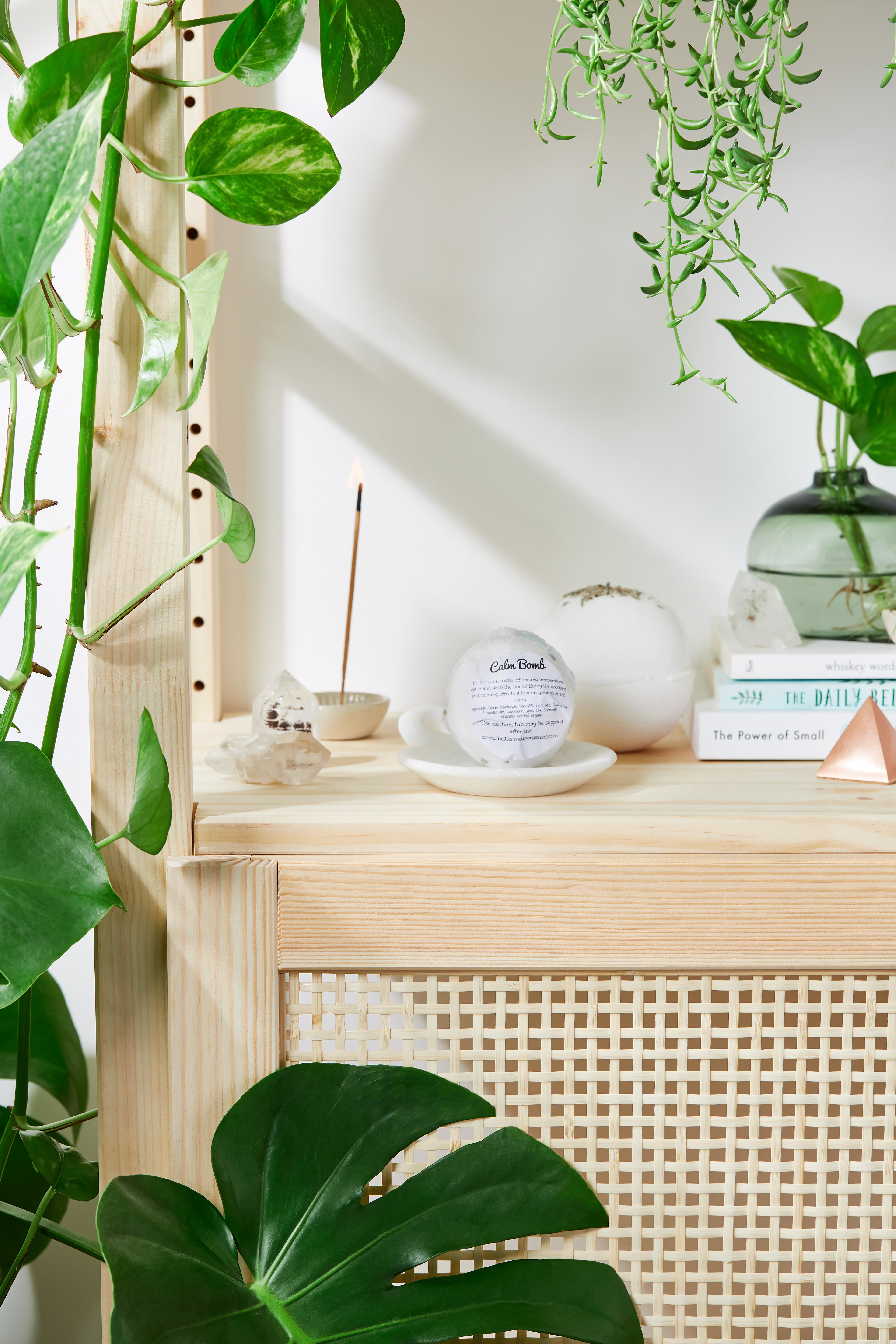 Wood shelf with green plants, incense, crystals, books, and a round white object on a white dish.