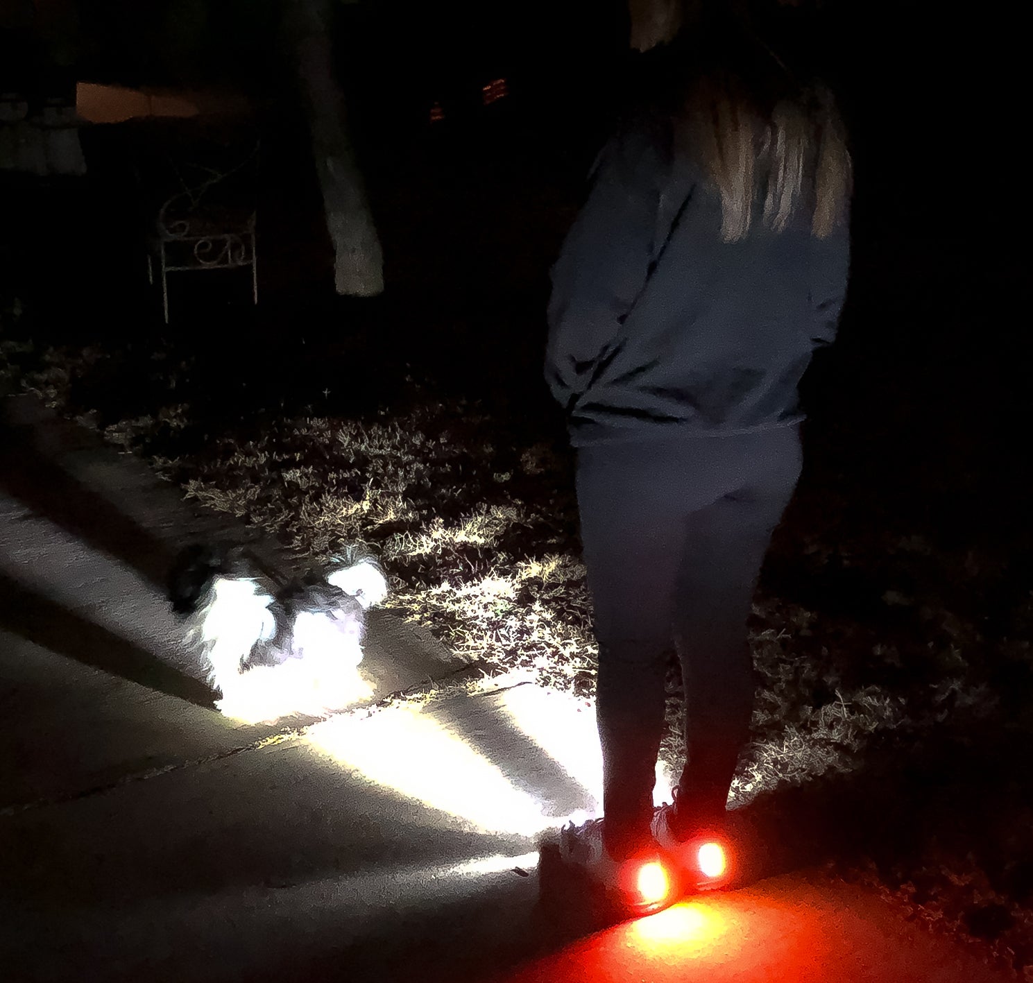 Person in dark clothing walking a small dog at night, shoes glowing red on a dimly lit path.