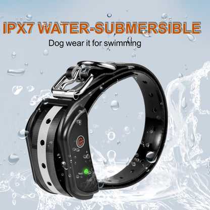 Black waterproof dog collar with metal buckle, green light, and water droplets around.