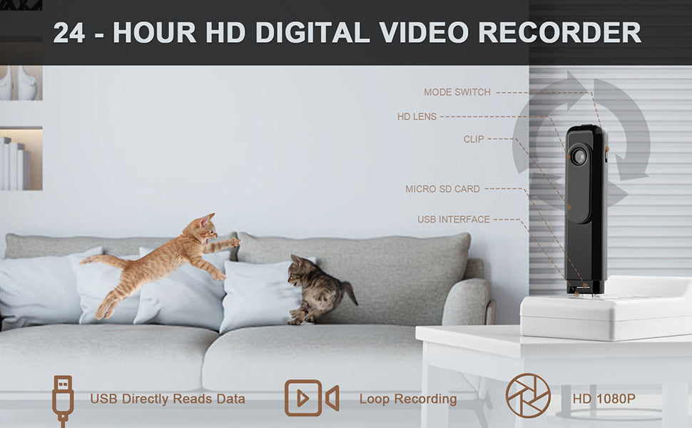 Two kittens playing on a gray couch; digital video recorder details overlaid, with a modern design.