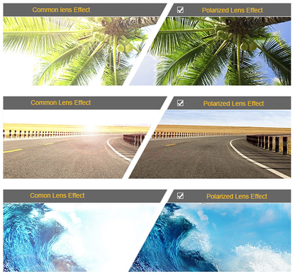 Split images showing effects of common vs. polarized lenses on palm trees, road, and ocean waves.