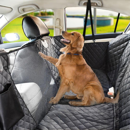 Golden retriever in a car, sitting on a quilted gray seat cover with a mesh barrier.